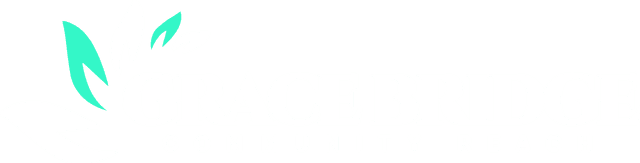 Grace Bridge Community Reach